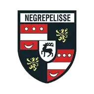 Nègrepelisse